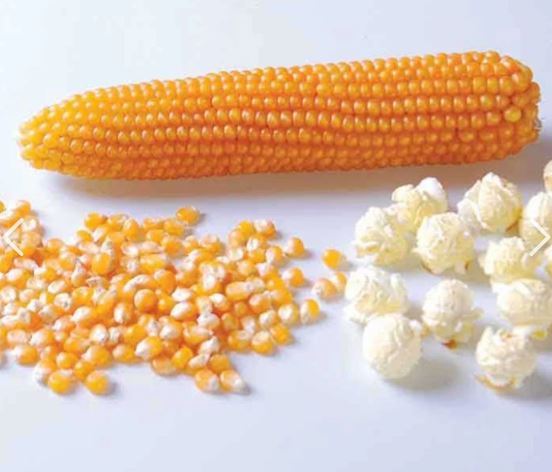 Popcorn