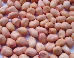 Karanga
